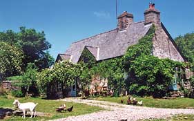 Hafod-y-Garreg B&B,  Erwood